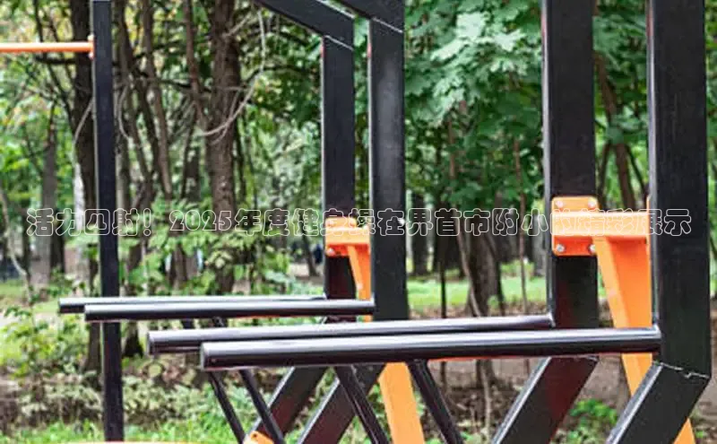 jn体育官网入口