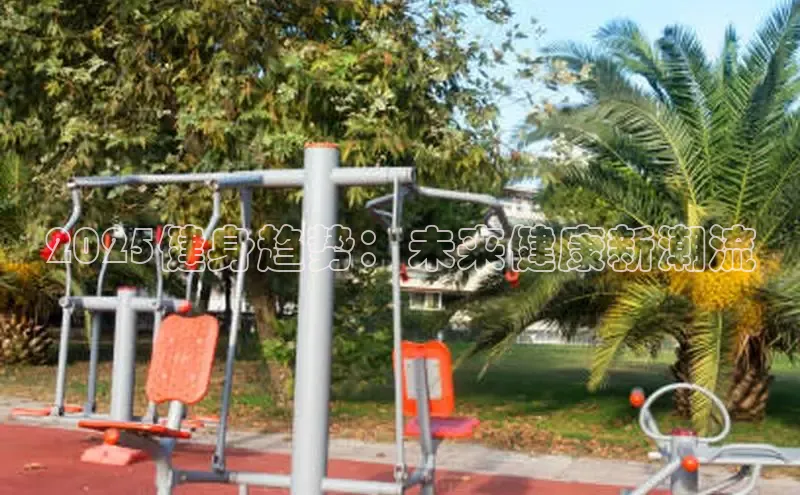 jn体育官网入口